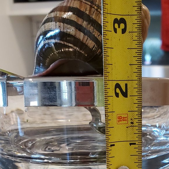 VTG Blown Glass Condiment/Sauce Bowl Metal Lid Spoon Underplate Shell Knob Italy - Picture 5 of 16